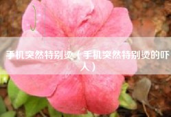 手机突然特别烫（手机突然特别烫的吓人）