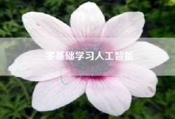 零基础学习人工智能
