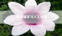 零基础学习人工智能