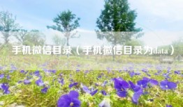 手机微信目录（手机微信目录为data）