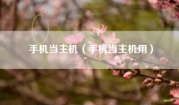手机当主机（手机当主机用）