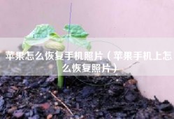 苹果怎么恢复手机照片（苹果手机上怎么恢复照片）