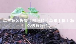 苹果怎么恢复手机照片（苹果手机上怎么恢复照片）