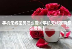 手机无线密码怎么看（手机无线密码怎么看到）