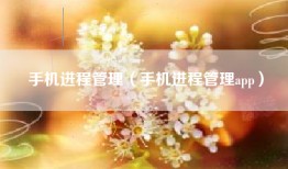 手机进程管理（手机进程管理app）
