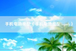 手机电池类型（手机电池类型li-poly）