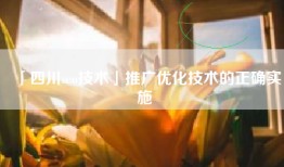 「四川seo技术」推广优化技术的正确实施