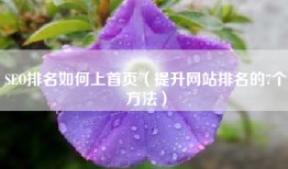 SEO排名如何上首页（提升网站排名的7个方法）