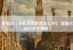 手机山（手机没有声音怎么办？ 音量已经打开了苹果）