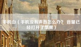手机山（手机没有声音怎么办？ 音量已经打开了苹果）