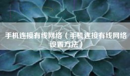 手机连接有线网络（手机连接有线网络设置方法）