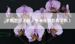 手机怎样关机（小米手机怎样关机）
