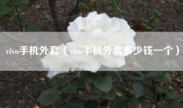vivo手机外套（vivo手机外套多少钱一个）