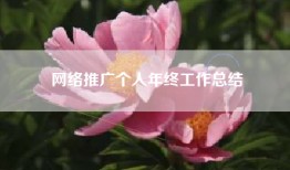网络推广个人年终工作总结