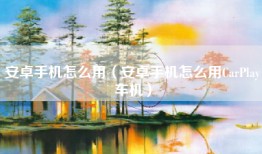 安卓手机怎么用（安卓手机怎么用CarPlay车机）