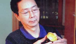 非遗传承人甘而可的“漆”彩人生
