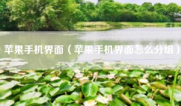 苹果手机界面（苹果手机界面怎么分组）