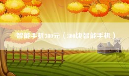 智能手机300元（300块智能手机）