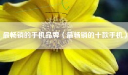 最畅销的手机品牌（最畅销的十款手机）
