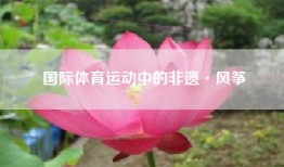 国际体育运动中的非遗·风筝