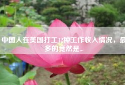 中国人在美国打工12种工作收入情况，最多的竟然是...