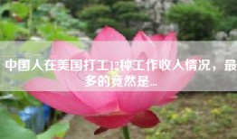 中国人在美国打工12种工作收入情况，最多的竟然是...