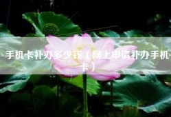 手机卡补办多少钱（网上申请补办手机卡）