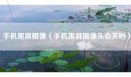 手机黑屏摄像（手机黑屏摄像头会关吗）