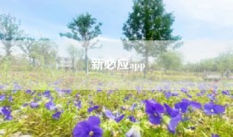 新必应app