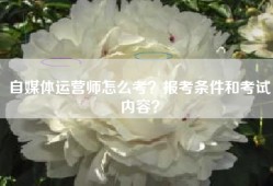 自媒体运营师怎么考？报考条件和考试内容？