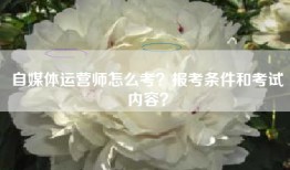 自媒体运营师怎么考？报考条件和考试内容？