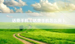 话费手机（话费手机怎么充）