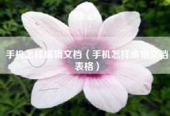 手机怎样编辑文档（手机怎样编辑文档表格）