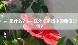 fxcm是什么？fxcm在外汇市场中的地位如何？