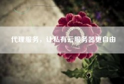 代理服务，让私有云服务器更自由