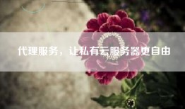 代理服务，让私有云服务器更自由