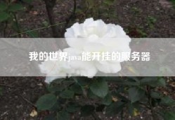 我的世界java能开挂的服务器