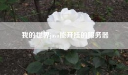 我的世界java能开挂的服务器