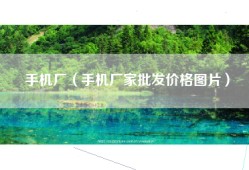 手机厂（手机厂家批发价格图片）