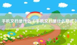 手机文档是什么（手机文档是什么格式）