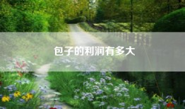 包子的利润有多大