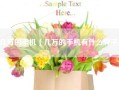 几万的手机（几万的手机有什么牌子）