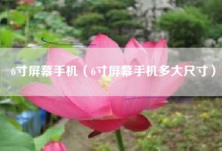 6寸屏幕手机（6寸屏幕手机多大尺寸）