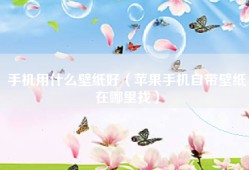 手机用什么壁纸好（苹果手机自带壁纸在哪里找）