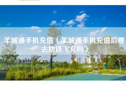 羊城通手机充值（羊城通手机充值后要去地铁飞充吗）