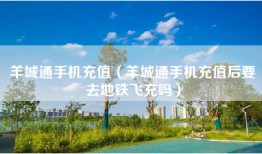 羊城通手机充值（羊城通手机充值后要去地铁飞充吗）