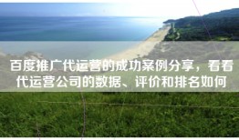 百度推广代运营的成功案例分享，看看代运营公司的数据、评价和排名如何