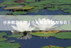 小米概念手机（小米概念手机发布会）