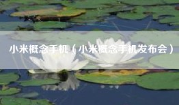 小米概念手机（小米概念手机发布会）