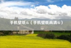手机壁纸4k（手机壁纸高清4k）